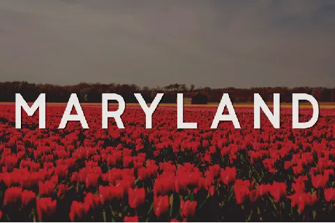 Maryland font