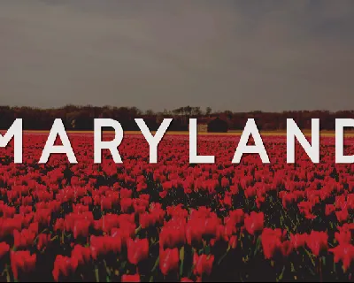 Maryland font