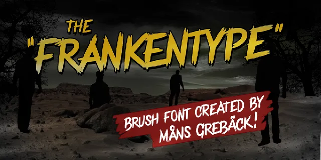 Frankentype Personal Use Only font