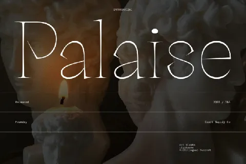 Palaise Serif font