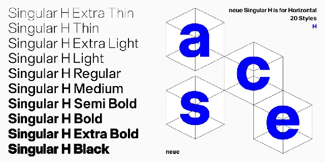 Neue Singular Family font