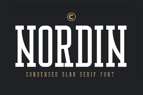 Nordin Slab font