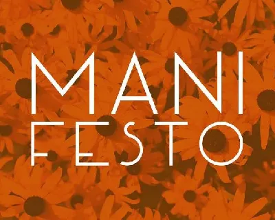 Manifesto font