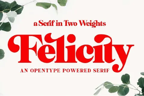 Felicity font