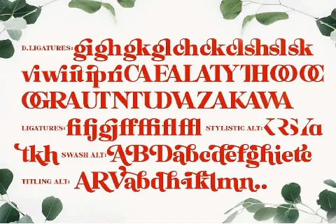 Felicity font