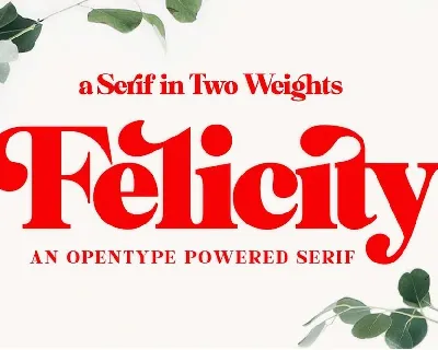 Felicity font