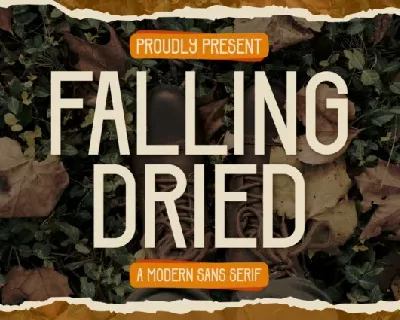 Falling Dried font