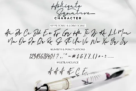 Holligate Signature Demo font