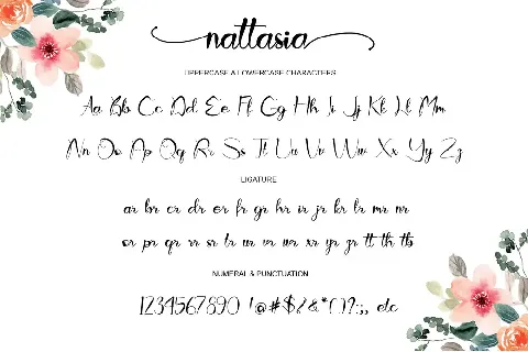 Nattasia - Personal Use font