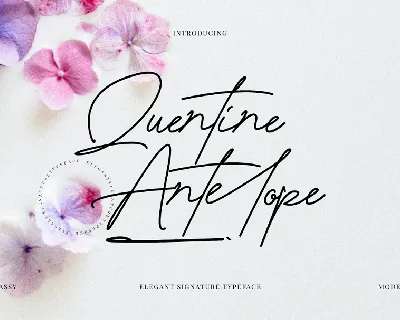 QuentineAntelope font