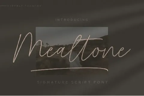 Mealtone font