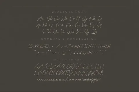 Mealtone font