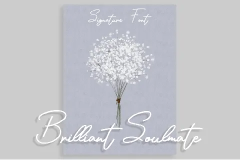 Brilliant Soulmate font