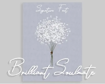 Brilliant Soulmate font