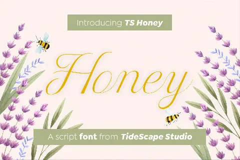 Ts Honey font