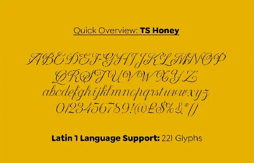 Ts Honey font