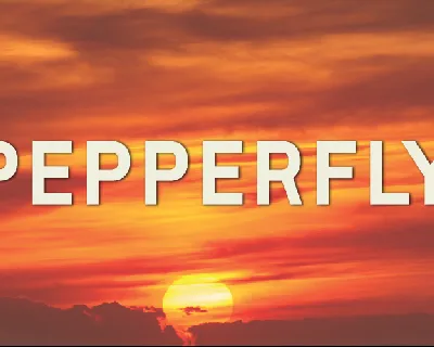 Pepperfly font