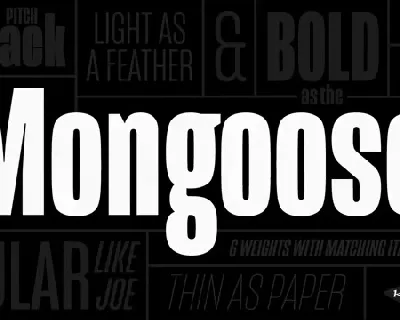 Mongoose Family font
