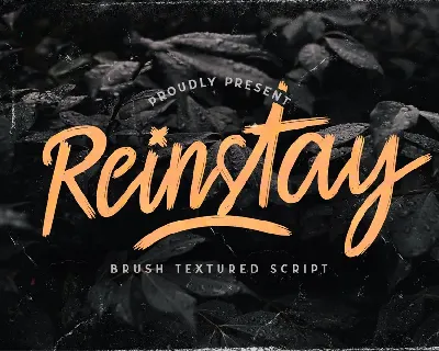 Reinstay font