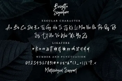 Brigitta Signature font