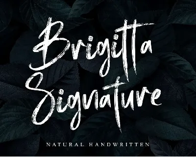 Brigitta Signature font