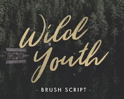 Wild Youth Free font
