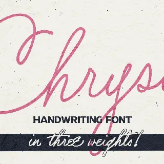 Chrysante PERSONAL USE font