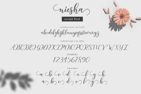 Niesha Modern Calligraphy Script font