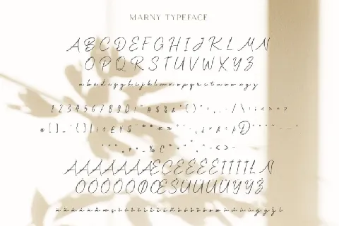 Marny Signature font