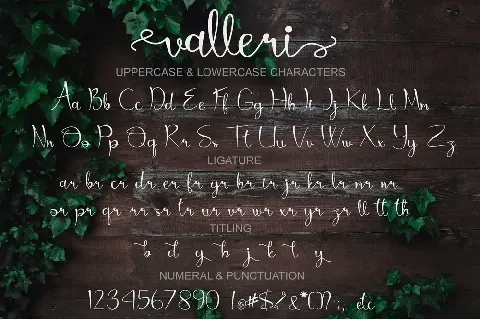 valleri - Personal Use font