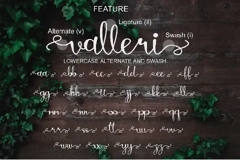 valleri - Personal Use font