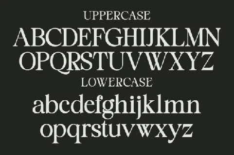 Staller font