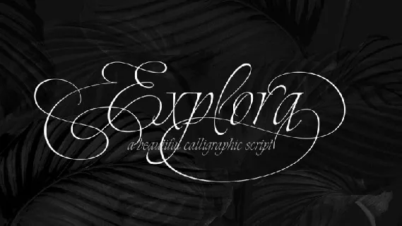 Explora font