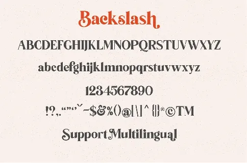 Backslash Serif Typeface font