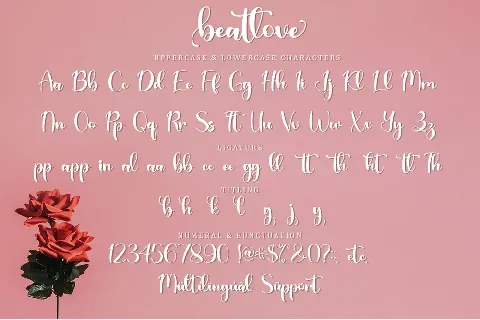 Beatlove -Personal Use font