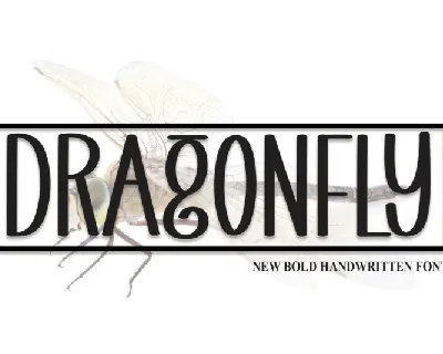 Dragonfly Display font