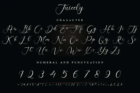 Juicely font