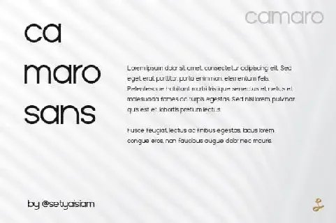 Camaro Sans Serif font