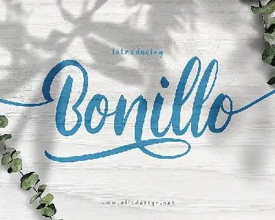 Bonillo Script font