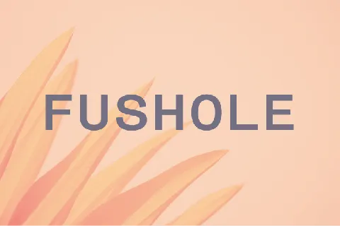 Fushole font