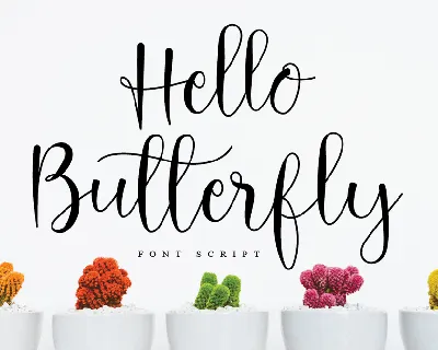 Hello Butterfly font