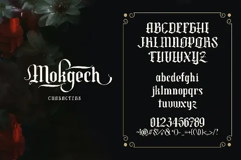 Mokgech font