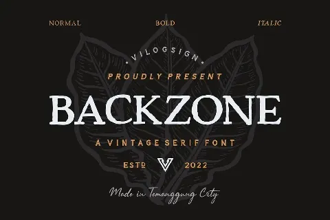 Backzone font