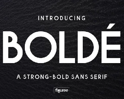 Bolde Sans Typeface font