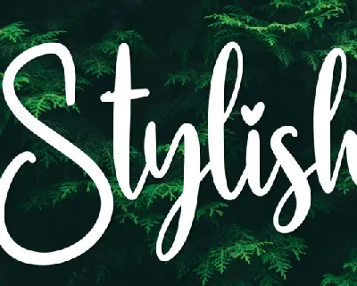 Stylish Script Typeface font