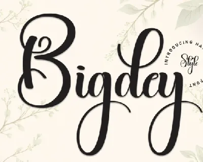 Bigdey Script font