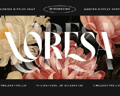 Noresa Serif font