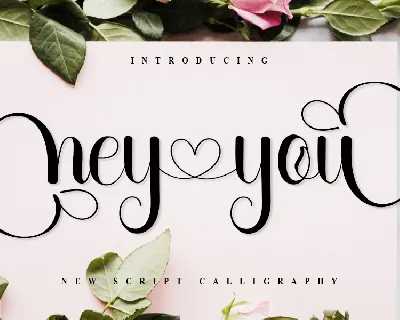Hey You Typeface font