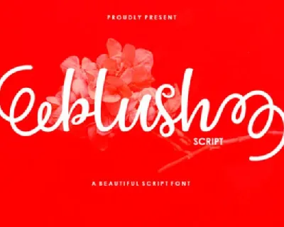 Blush Script font