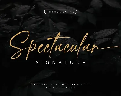 Spectacular font